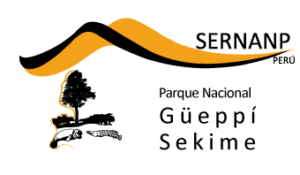 9-gueppi