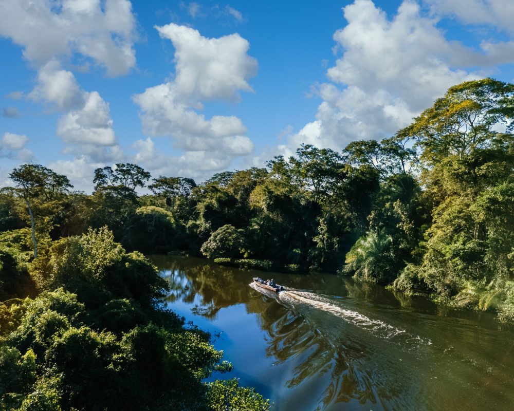 A motorboat in the lake surrounded by beautiful green trees under a cloudy sky